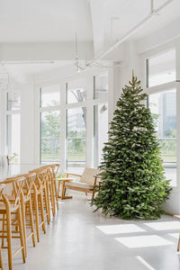 Image 2: Setting Intentions for the New Year